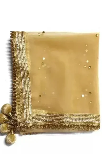 Women Zari Woven Dupatta